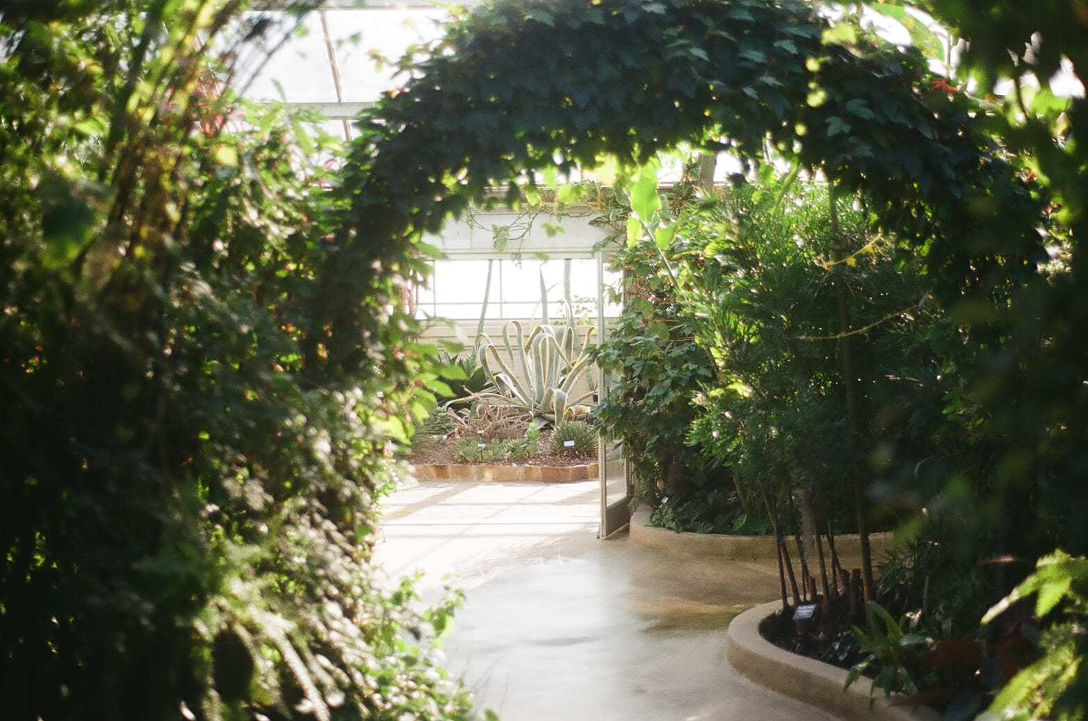 Druid Park Conservatory